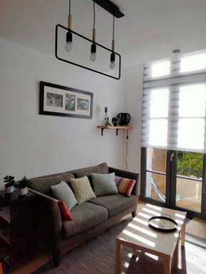 Appartement avec terrasse et parking centre ville